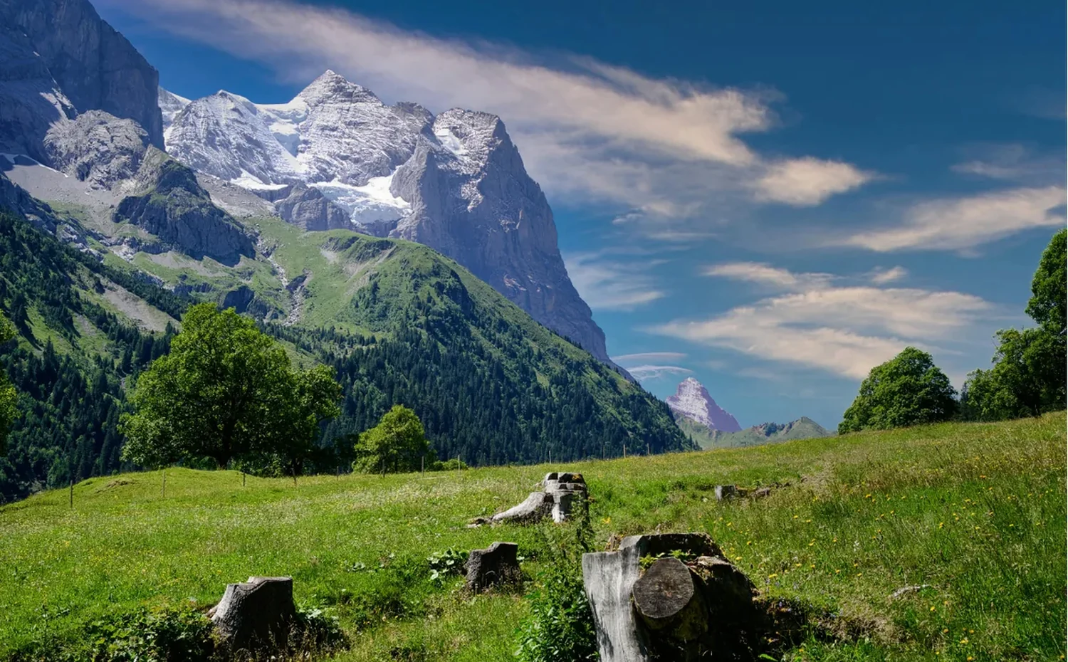 Winding mountain path suggesting a learning journey