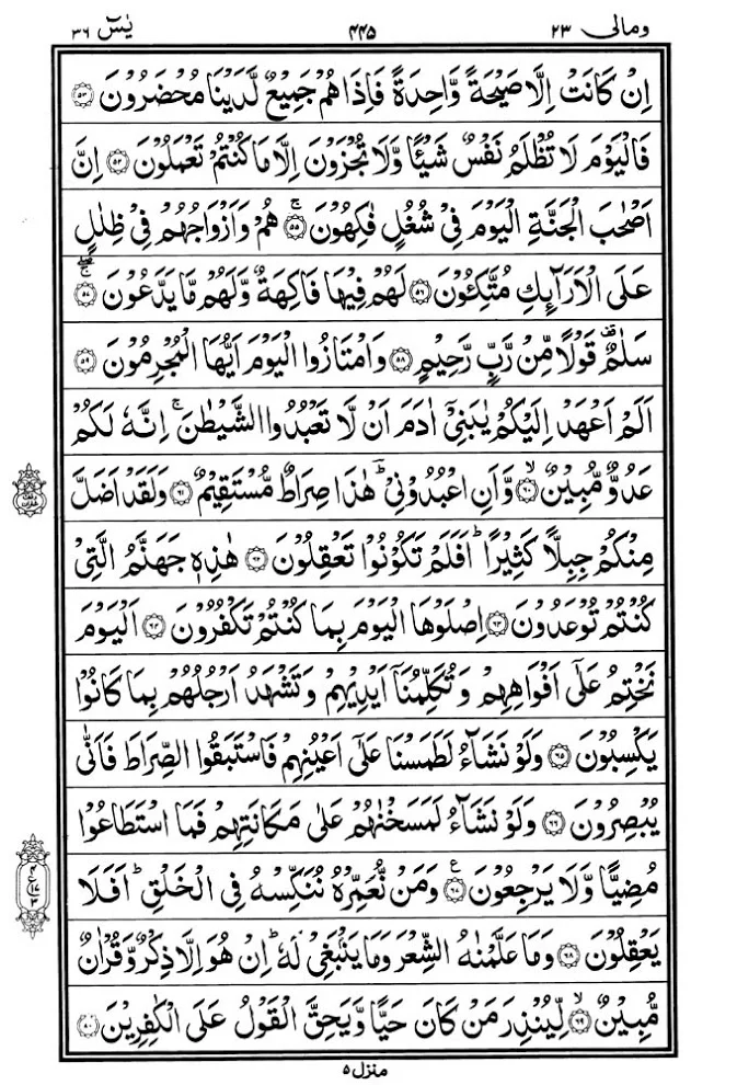 Illustration on Surah Yasin (36) | Yaseen