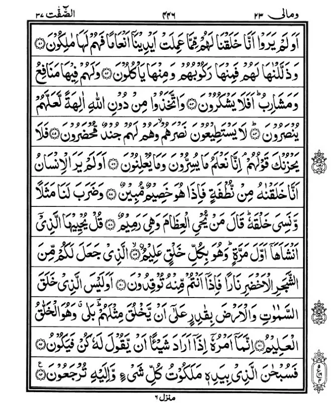 Illustration on Surah Yasin (36) | Yaseen
