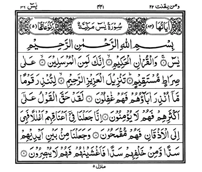 Illustration on Surah Yasin (36) | Yaseen