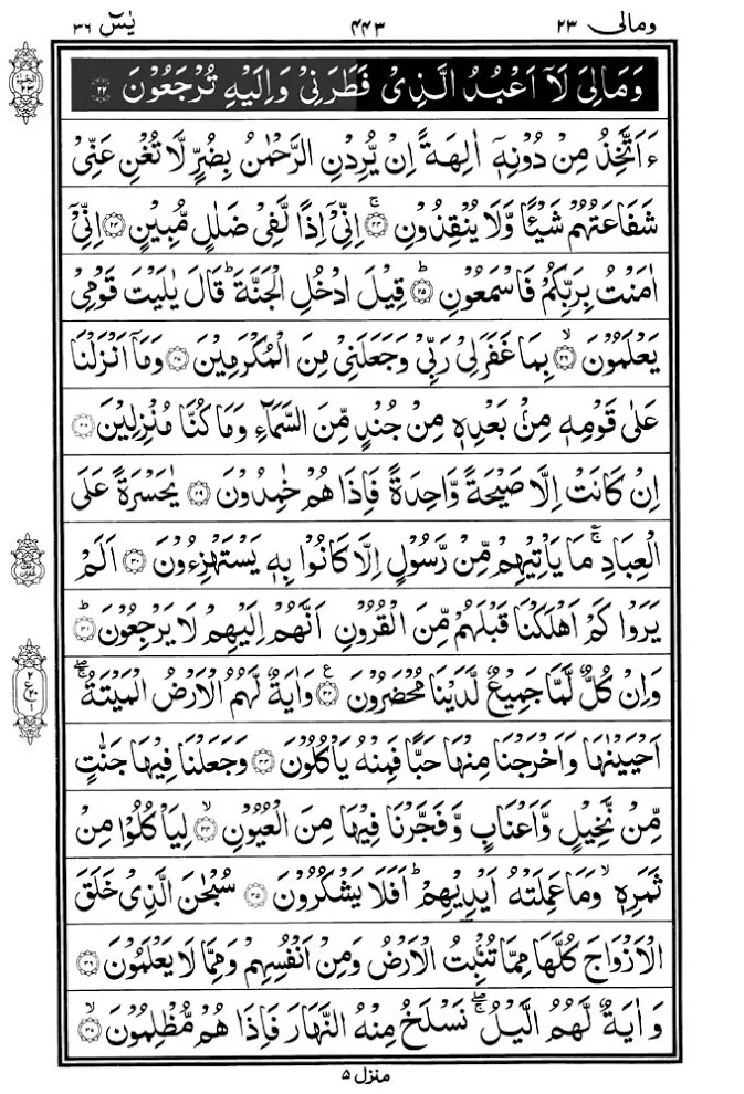 Illustration on Surah Yasin (36) | Yaseen