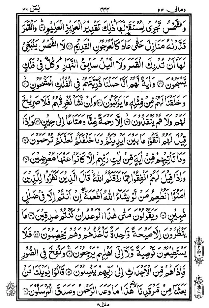Illustration on Surah Yasin (36) | Yaseen