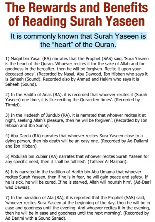 Illustration on Surah Yasin (36) | Yaseen