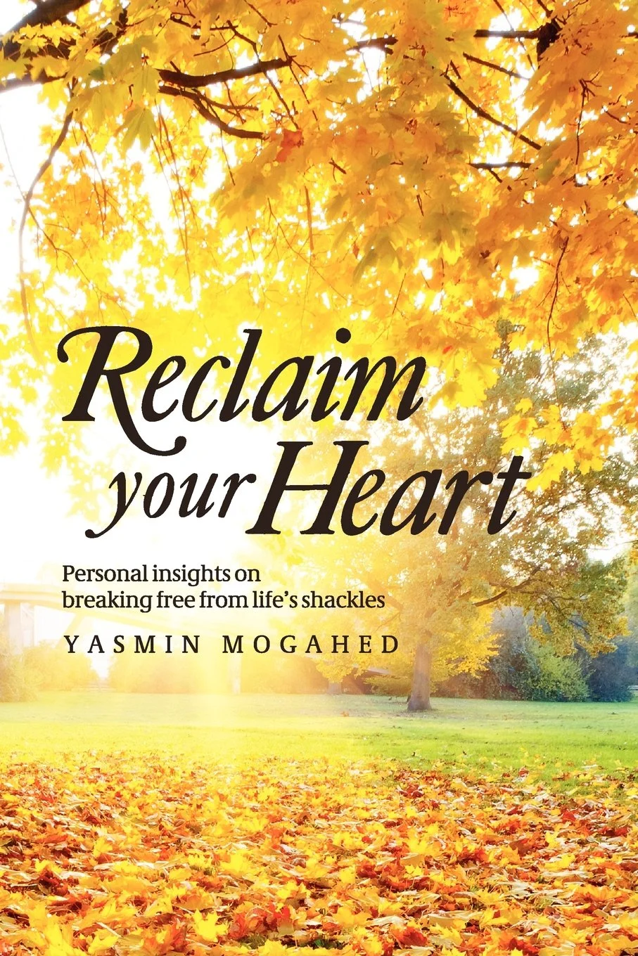 Reclaim Your Heart: Personal Insights on breaking free from life's shackles